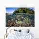 Healthy Coral Reef Grows Wall Decal Design 6