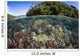 Healthy Coral Reef Grows Wall Decal Design 6