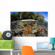Healthy Coral Reef Grows Wall Decal Design 5