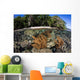 Healthy Coral Reef Grows Wall Decal Design 5