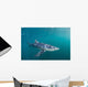 Sleek Blue Shark Swimming Wall Decal Design 2