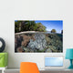 Healthy Coral Reef Grows Wall Decal Design 4