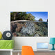 Healthy Coral Reef Grows Wall Decal Design 4