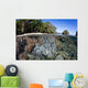 Healthy Coral Reef Grows Wall Decal Design 4