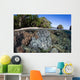 Healthy Coral Reef Grows Wall Decal Design 4