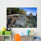 Healthy Coral Reef Grows Wall Decal Design 4