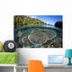 Healthy Coral Reef Grows Wall Decal Design 3