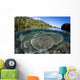 Healthy Coral Reef Grows Wall Decal Design 3