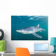 Sleek Blue Shark Swimming Wall Decal Design 1
