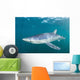 Sleek Blue Shark Swimming Wall Decal Design 1