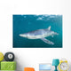 Sleek Blue Shark Swimming Wall Decal Design 1