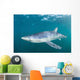Sleek Blue Shark Swimming Wall Decal Design 1