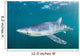 Sleek Blue Shark Swimming Wall Decal Design 1