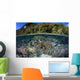 Healthy Coral Reef Grows Wall Decal Design 2
