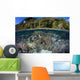 Healthy Coral Reef Grows Wall Decal Design 2