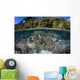 Healthy Coral Reef Grows Wall Decal Design 2