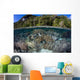 Healthy Coral Reef Grows Wall Decal Design 2
