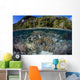 Healthy Coral Reef Grows Wall Decal Design 2