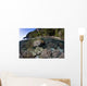 Healthy Coral Reef Grows Wall Decal Design 1