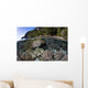 Healthy Coral Reef Grows Wall Decal Design 1