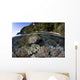 Healthy Coral Reef Grows Wall Decal Design 1
