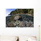 Healthy Coral Reef Grows Wall Decal Design 1