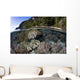 Healthy Coral Reef Grows Wall Decal Design 1
