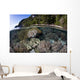 Healthy Coral Reef Grows Wall Decal Design 1
