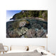 Healthy Coral Reef Grows Wall Decal Design 1
