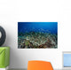 Beautiful and Healthy Coral Wall Decal Design 4