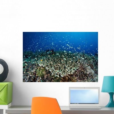 Beautiful and Healthy Coral Wall Decal Design 4 shown on a wall