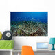 Beautiful and Healthy Coral Wall Decal Design 4