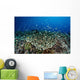 Beautiful and Healthy Coral Wall Decal Design 4