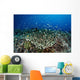 Beautiful and Healthy Coral Wall Decal Design 4