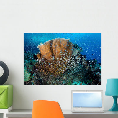 Schooling Cardinalfish and Sweepers Wall Decal shown on a wall