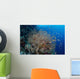Colorful Fish Swim around Wall Decal
