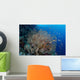Colorful Fish Swim around Wall Decal