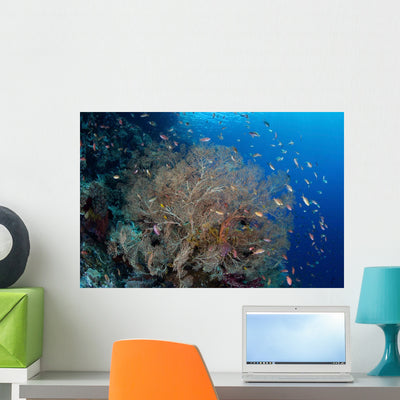 Colorful Fish Swim around Wall Decal shown on a wall