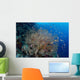 Colorful Fish Swim around Wall Decal