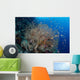 Colorful Fish Swim around Wall Decal