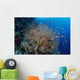 Colorful Fish Swim around Wall Decal