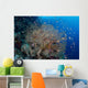 Colorful Fish Swim around Wall Decal