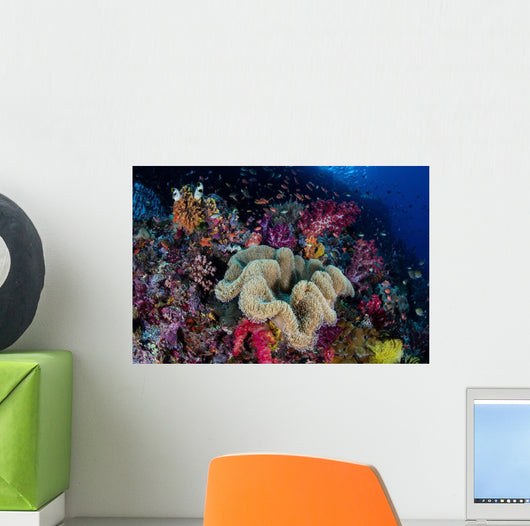 Colorful and Healthy Coral Wall Decal Design 2