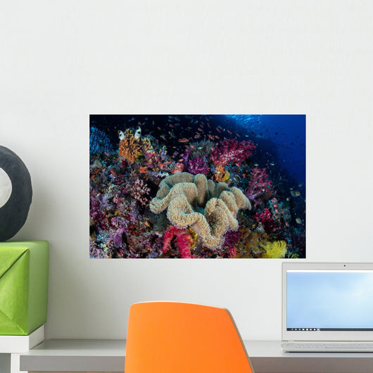 Colorful and Healthy Coral Wall Decal Design 2