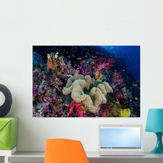 Colorful and Healthy Coral Wall Decal Design 2