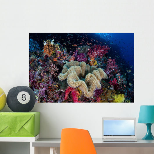 Colorful and Healthy Coral Wall Decal Design 2