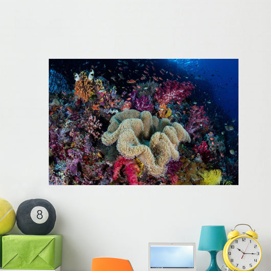 Colorful and Healthy Coral Wall Decal Design 2