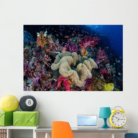 Colorful and Healthy Coral Wall Decal Design 2