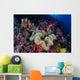 Colorful and Healthy Coral Wall Decal Design 2