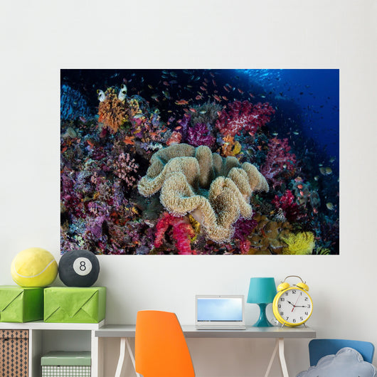 Colorful and Healthy Coral Wall Decal Design 2